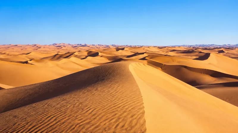 Golden Dunes Vast sunlit golden desert sand dunes with rippling wind-sculpted ridges