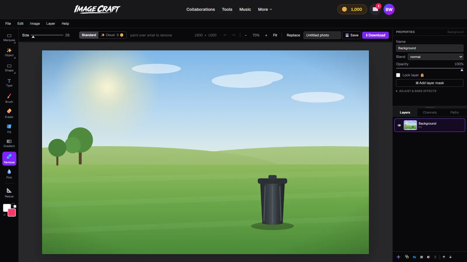 A field photo open in ImageCraft with a trash bin to remove and the Remove tool selected